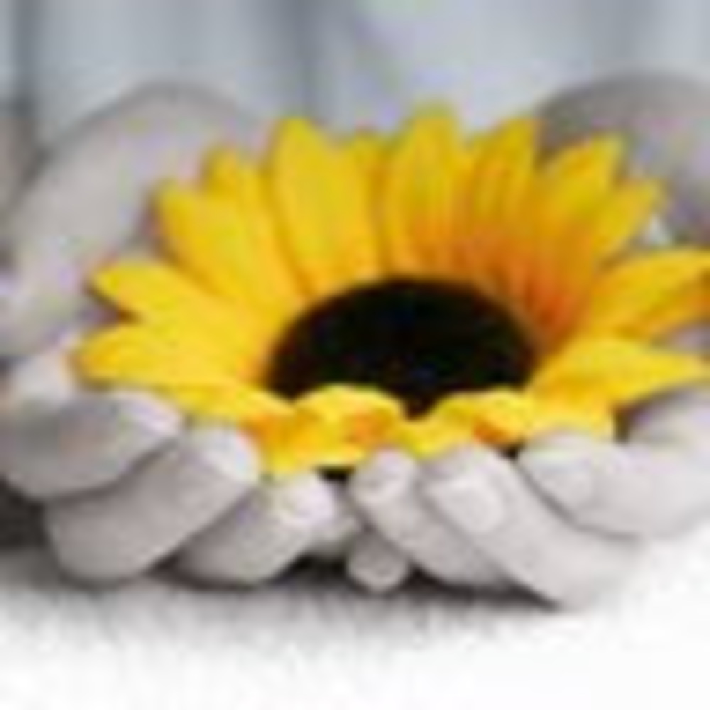 Meet your Posher, Staci